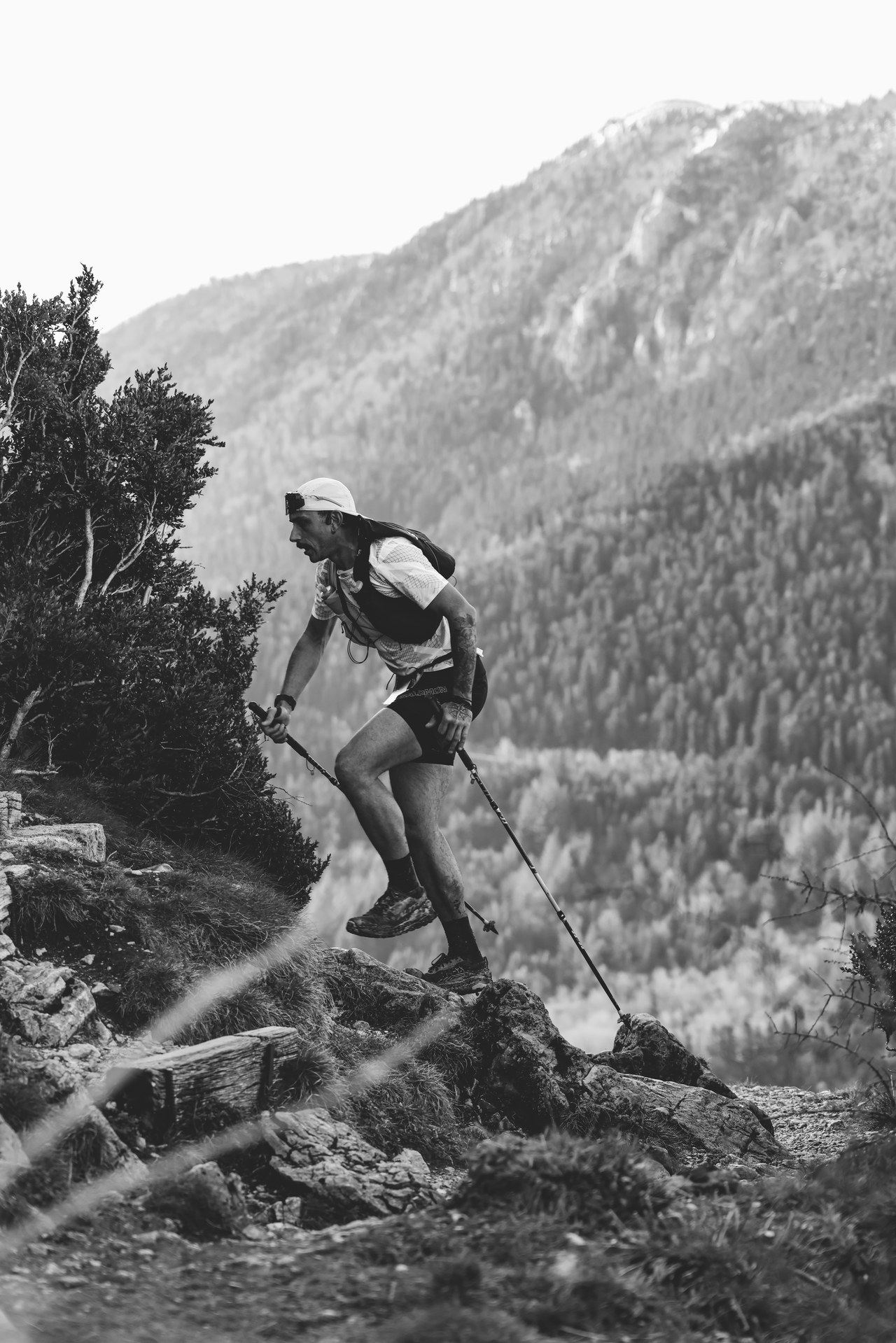Trail et running